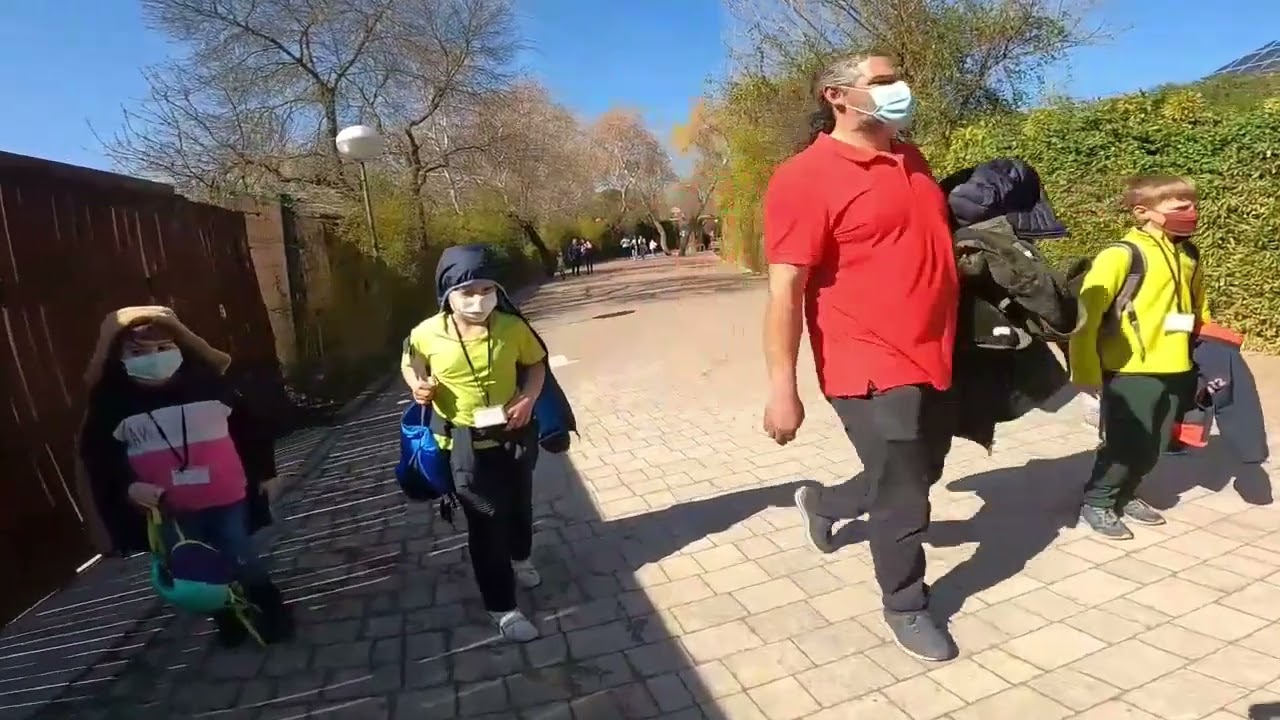 Zoo Aquarium Madrid Let's Enjoy The Moment