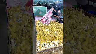 Mass Hatching: Collecting Thousands of Ducklings in Seconds 🐣 #farming