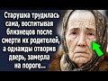 Старушка тянула лямку сама, воспитывая близнецов, а однажды отворив дверь, замерла на пороге…