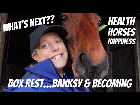 , WHAT NEXT… Box Rest, Business & Becoming… , WHAT NEXT… Box Rest, Business & Becoming…