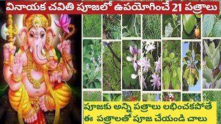 వినాయక చవితి 21 పూజ పత్రాలు /vinayaka chavithi pooja patri in telugu /Vinayaka chavithi pooja patri