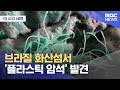 브라질서 플라스틱 암석 발견