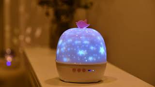 Factory Wholesale Lucky Bird Projection Lamp with Bluetooth, Six Fantacy Films Included