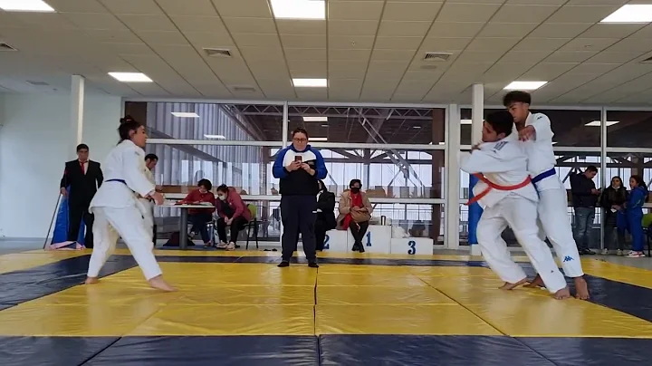 ESPECIAL JUDO FITNESS TEST ( FRANCO LEFNO )