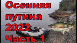 Осенняя путина 2022. Часть 1