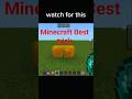 Minecraft Tiktok Hacks#shorts