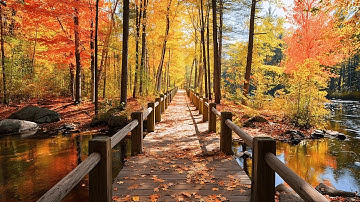 Beautiful Autumn & Relaxing Music 🍁 Stop Overthinking & Relieve Stress for Inner Peace