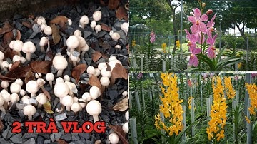 Trải nghiệm khu nông nghiệp công nghệ cao phần 1