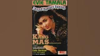 bagai layang layang_ evie tamala