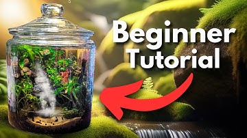 How to Make a Mini Waterfall Paludarium (For Beginners)