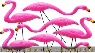 JOYIN Set of 6 Small Pink Flamingo Yard Ornament Stakes Mini Lawn Plastic Flamingo Statue with Meta