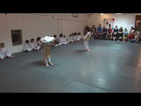 Klub realnog aikidoa i ju-jutsu Novi Sad Polaganje jun 2021 I i II grupa dece  7/12