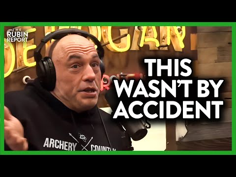 Joe Rogan Blows His Guests' Minds with Proof That Academic Takeover Wasn't an Accident Episode cover