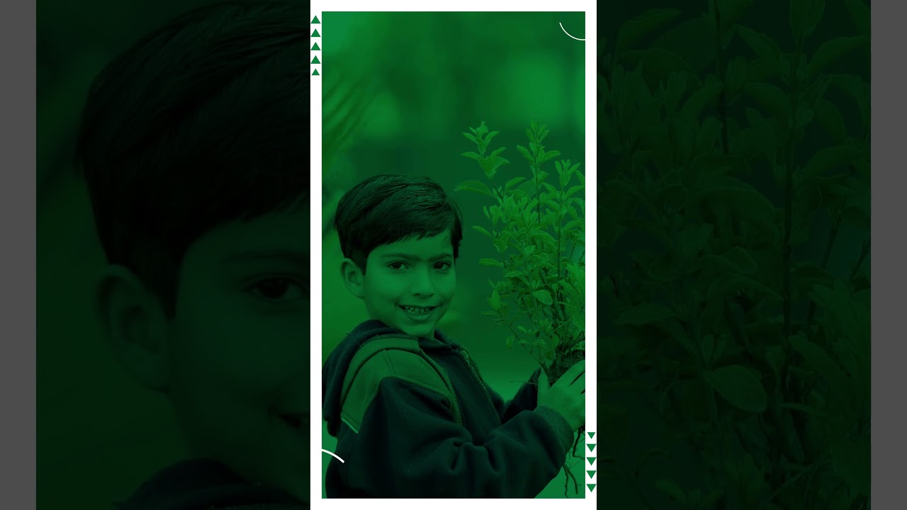 Homerton Grammar School