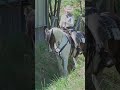 CWN-C AWA Championship im Westernreiten in Oberhofen am Irrsee