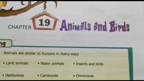 Class 3 - EVS - C19 - S1to3 - Animals and Birds