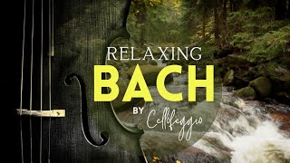 Relaxing Bach | Classical Cello Solo Music for Relaxation, Study, Work or Focus