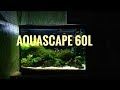 Акваскейп на 60л ( aquascape)  oт Aquayozh.  Живой грунт и удо от Aquayer.