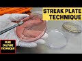 Streak plate technique for the isolation of pure culturea complete procedure microbiology