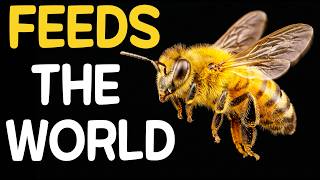 Without THEM, Humanity Has 4 Years | BEES. They Feed the Whole World