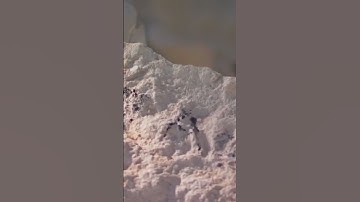 Homeless man blamed for wreaking havoc in neighborhood | FOX 7 Austin