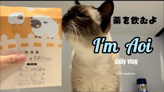 【シャム猫】病院でお薬をもらいました🏥🐈 by シャム猫あおい 283 views 6 months ago 3 minutes, 52 seconds