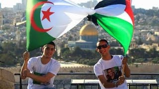 #جزائسطينية_و_افتخر جيناكم من فلسطين يا الجزائر نور العين