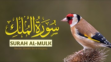 Surah AL Mulk II Surah mulk | Tilawat Surah mulk | سورة الملك | Full With Highlighted Text | LIVE