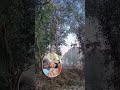 #2026 #song