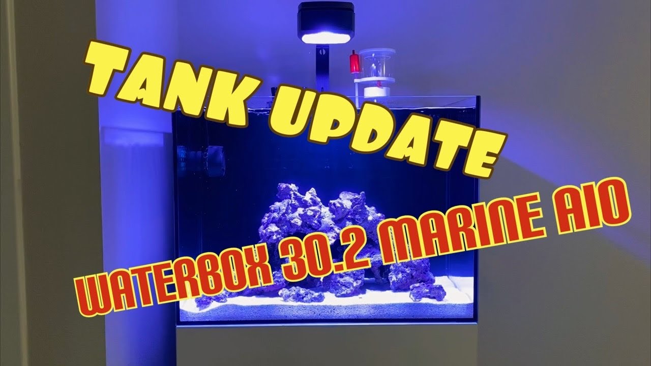 Waterbox AIO Nano Reef Tank Build | Ep. 18 | Tank Update