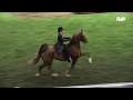 Victoria Walz USEF Five Gaited World Cup Team Application