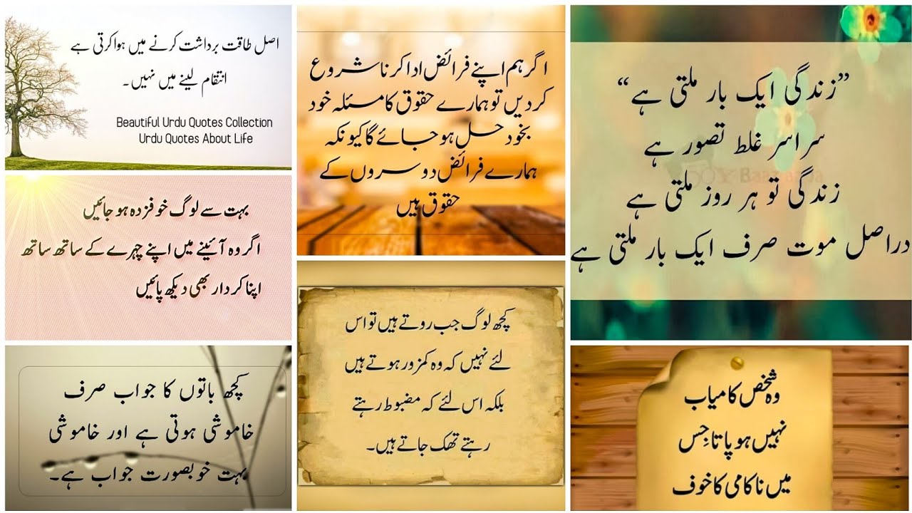 urdu quotes golden words | aqwal e zareen whatsapp status | quotes ...