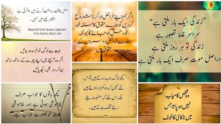 urdu quotes golden words | aqwal e zareen whatsapp status | quotes for Instagram