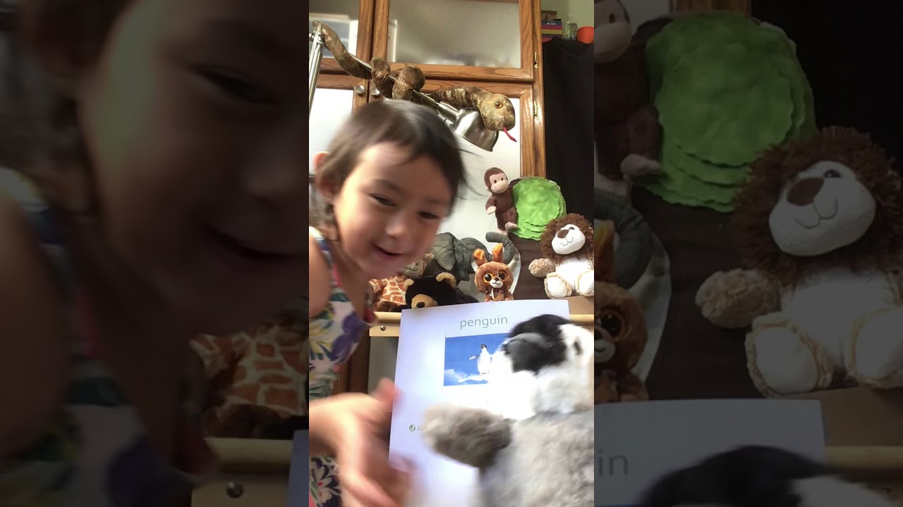 Zoo Signs with Serenity