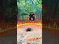 Smart Jungle Survival Idea Saves Cute Puppies! 🐶🔥 #shorts
