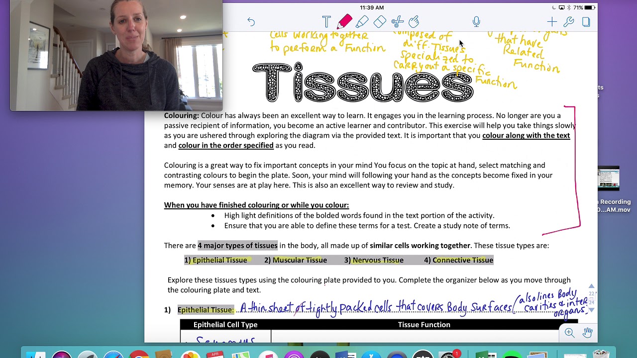 Biology Day 5: Tissues (SNC2DI, Rowlandson)