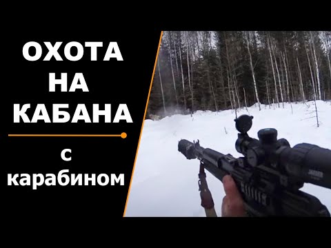 Удачная охота на кабана