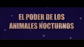 Serie 'Peque Exploradores' - Cap1 'El Poder de los Animales Nocturnos' by PAR Explora Sur Poniente 9 views 2 weeks ago 3 minutes, 49 seconds