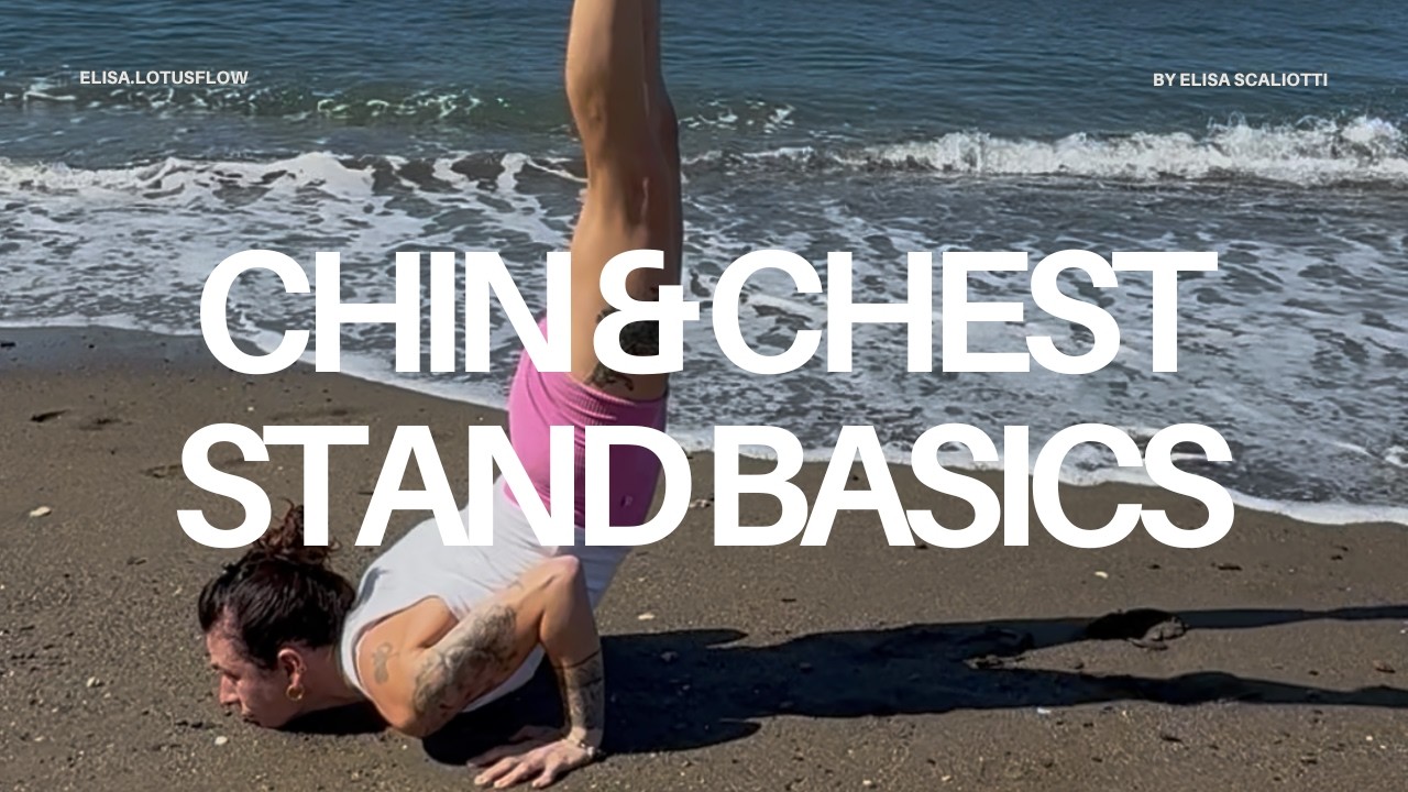 Trailer chin&chest stand (27.05.2026)