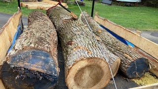 Lift Arch Trailer Logging in Suburbia, Moving 2 Tons of Poplar Wood Logs