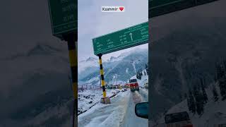 Kashmir snow fall ❄️ ytshorts youtubeshorts kashmir nature solotravel