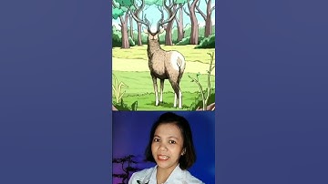 Bạn có thấy c9n báo k? #short #shorts #dovui #maithao