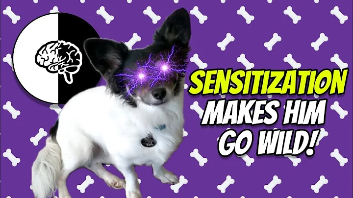 What is Sensitization?