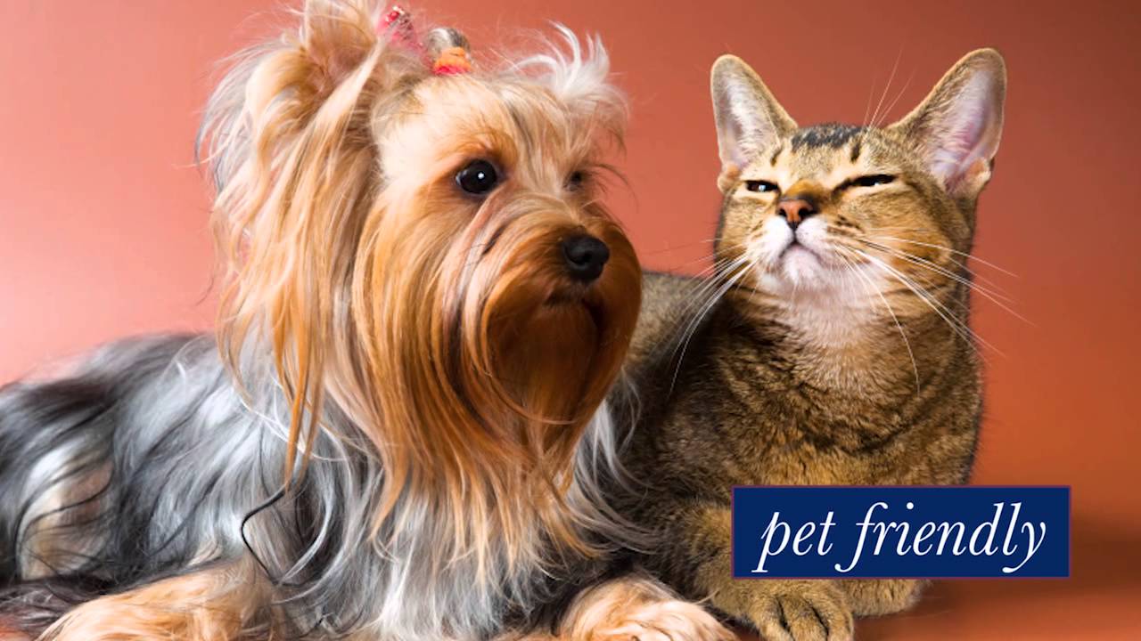 Maverick Motel- Klamath Falls, OR