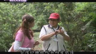 20100402一路玩到爆-1.wmv