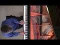 'O Fortuna' Carl Orff - PIANO SOLO P. Barton FEURICH harmonic pedal piano
