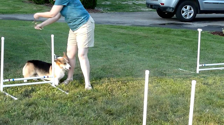 Ben Day 1 Agility.m4v