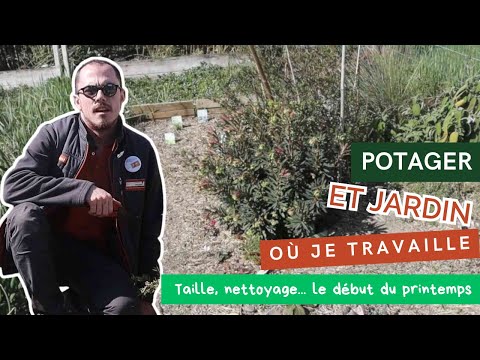 MON POTAGER ET
