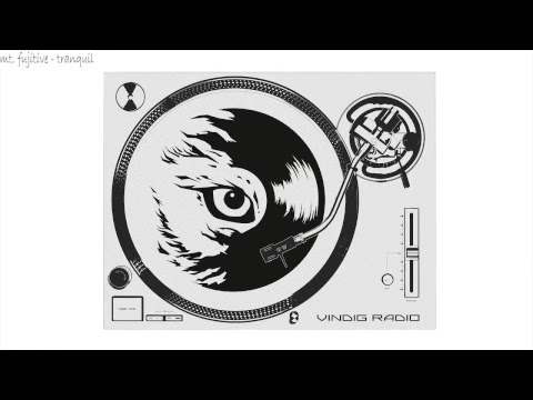 Vinyl Digital 24/7 Beat Radio (lofi hiphop/chillhop/jazz vibes/relax/study beats)