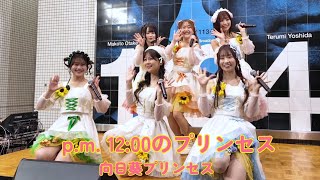 20260311 p.m. 12:00のプリンセス/向日葵プリンセス